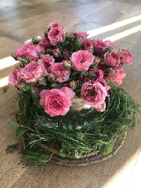 Bild_08_Rosen