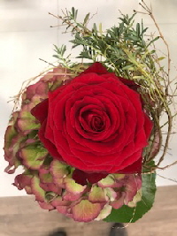 Bild04