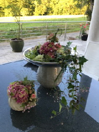 Bild15